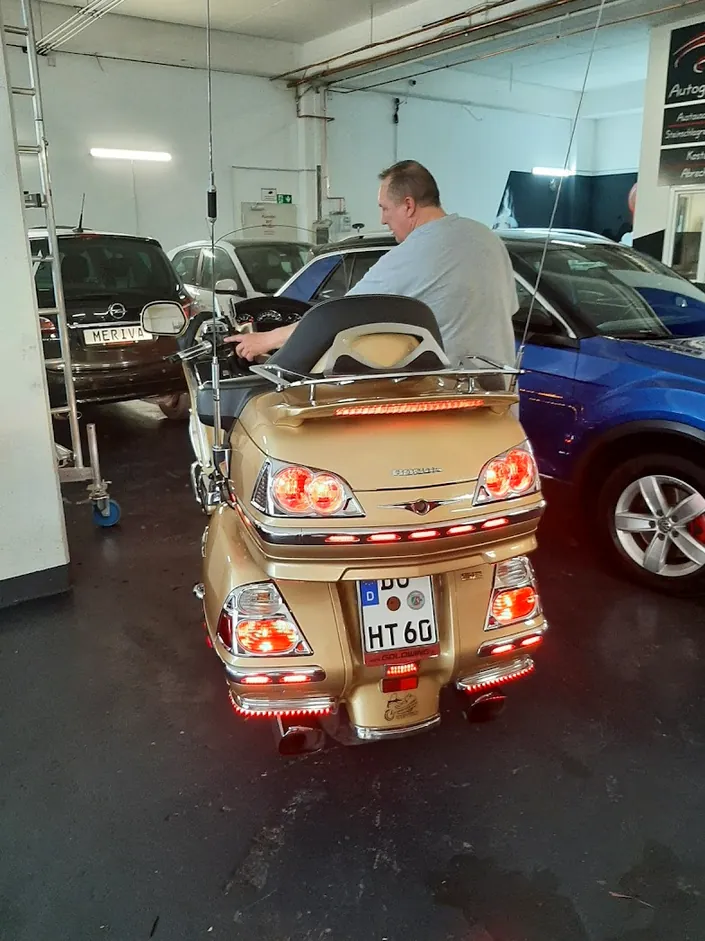 Automobile Kater