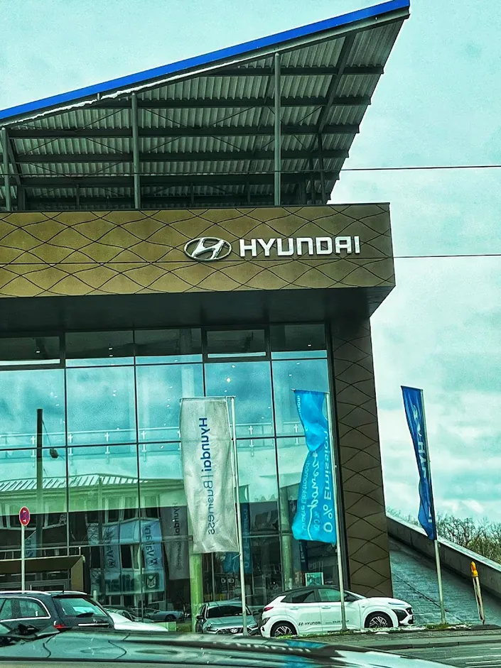 Hyundai powered by Euler Group