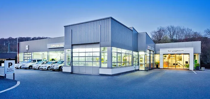 Leo Sprungmann GmbH